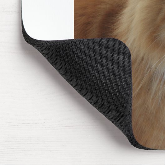 Tapis De Souris Norwegian_Forest_Cat (Coin)