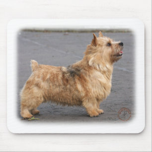 Tapis De Souris Norwich Terrier