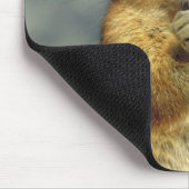 Tapis De Souris Nourriture d'écureuils (Coin)