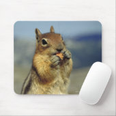 Tapis De Souris Nourriture d'écureuils (Avec souris)