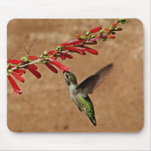 Tapis De Souris Nourriture des colibris dans le jardin