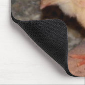 Tapis De Souris Nouveau-né Chick (Coin)