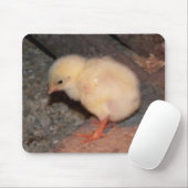 Tapis De Souris Nouveau-né Chick (Avec souris)