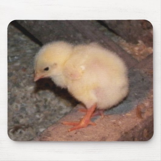 Tapis De Souris Nouveau-né Chick (Devant)