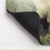 Tapis De Souris Nouvelle-Zélande (Coin)