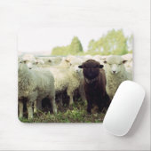 Tapis De Souris Nouvelle-Zélande (Avec souris)