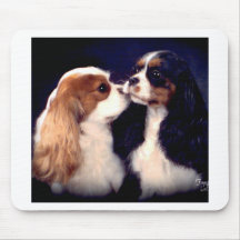 Nova de Fleet Street Tippy