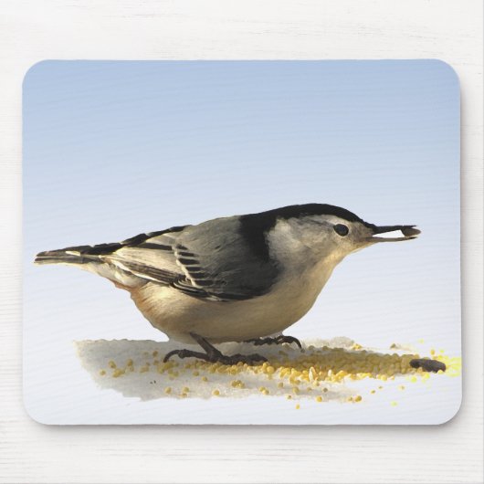 Tapis De Souris Nuthatch à poitrine blanche (Devant)