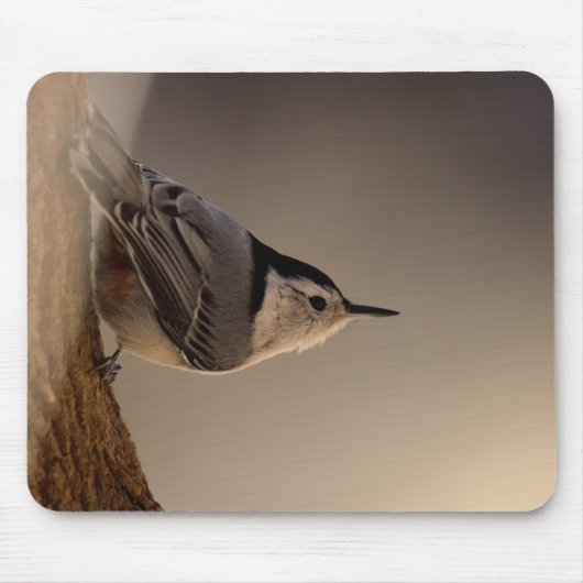 Tapis De Souris Nuthatch_Mousepad (Devant)