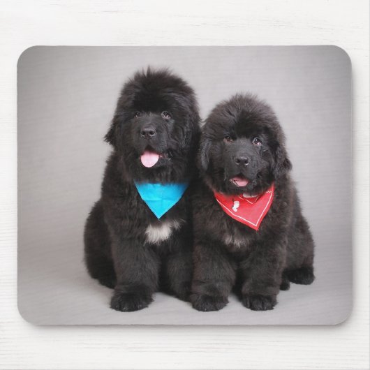 Tapis De Souris Nuwfie (Devant)