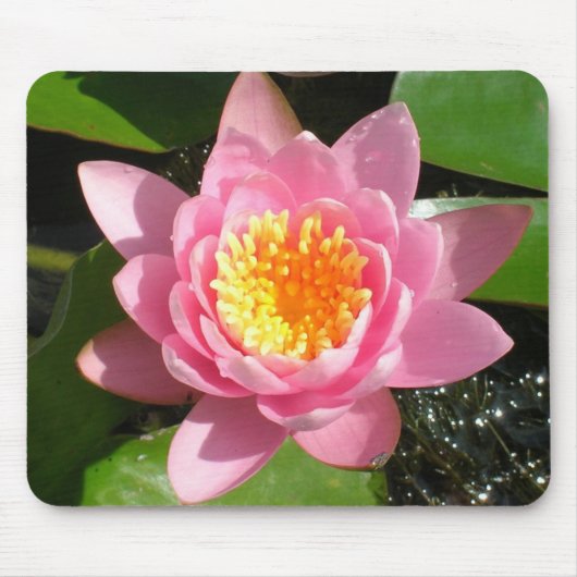 Tapis De Souris Nymphéa rose (Devant)