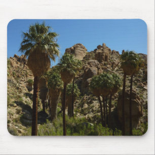 Tapis De Souris Oasis Lost Palms I dans le Parc national de Joshua