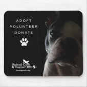 Tapis de souris "observant tranquillement " (Devant)