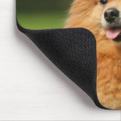 Tapis De Souris Observation de Pomeranian (Coin)