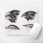 Tapis De Souris Observations de l'oiseau de Darwin (Avec souris)
