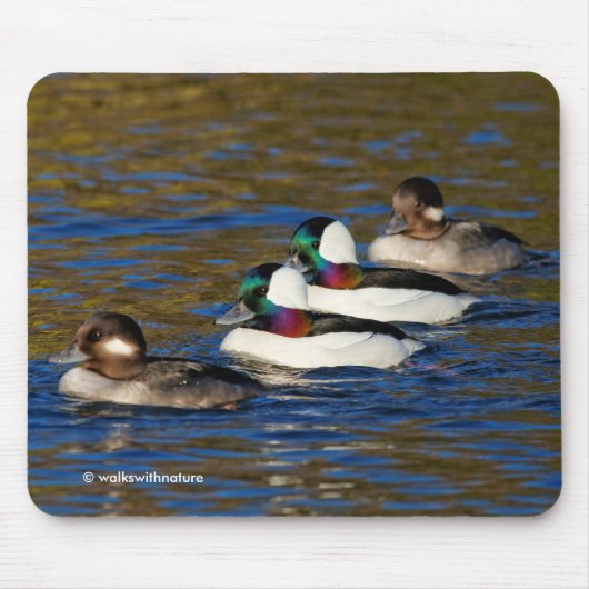 Tapis De Souris Obtenir mes canards dans une rangée : Quatre Buffl (Devant)