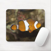 Tapis De Souris Ocellaris Clowfish (Avec souris)