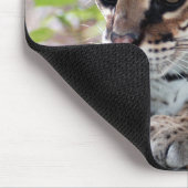 Tapis De Souris Ocelot 02 9x9 (Coin)