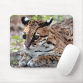 Tapis De Souris Ocelot 02 9x9 (Avec souris)