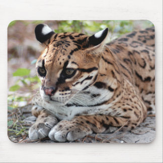 Tapis De Souris Ocelot 02 9x9