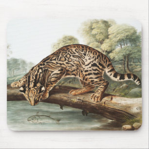 Tapis De Souris Ocelot, chat léopard (Felis pardalis) Illustration