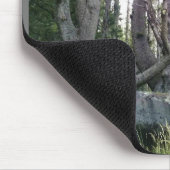 Tapis De Souris Octopus Tree, Cape Meares, Oregon (Coin)