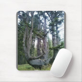 Tapis De Souris Octopus Tree, Cape Meares, Oregon (Avec souris)