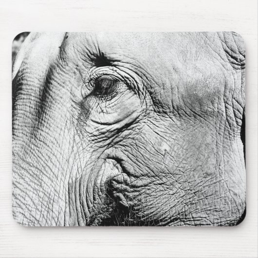 Tapis De Souris Oeil d'éléphants, 2017 (Devant)