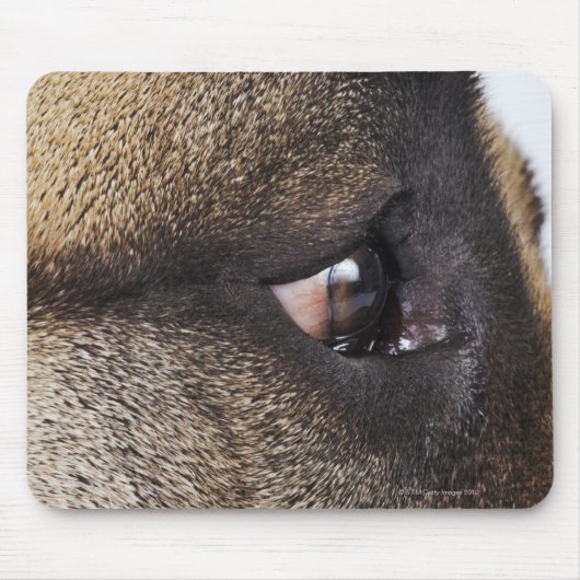Tapis De Souris OEil du grand Danois (Devant)