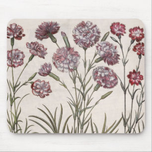 Tapis De Souris Oeillets : majore du flore 1.Caryophyllus ; 2.