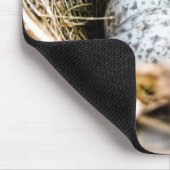 Tapis De Souris Oeuf cardinal Mousepad (Coin)