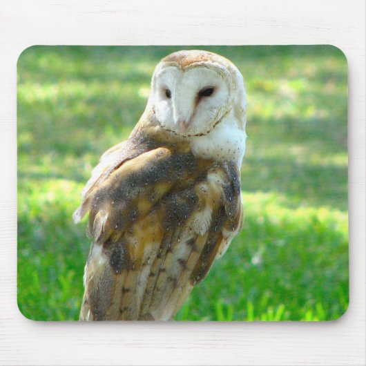 Tapis De Souris Oh hibou de grange (Devant)
