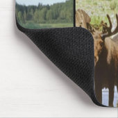 Tapis De Souris Oie (Coin)