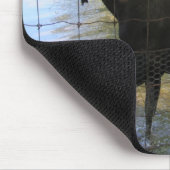 Tapis De Souris Oie (Coin)