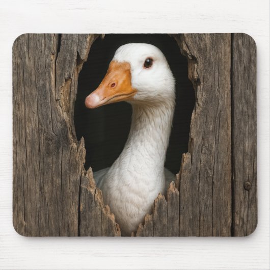 Tapis De Souris Oie Blanche À Partir Du Trou En Bois Déchiré (Devant)