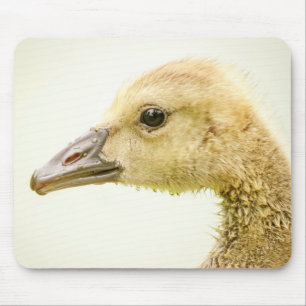 Tapis De Souris Oie canadienne (Gosling)