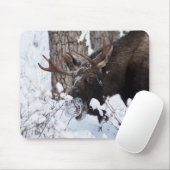 Tapis De Souris Oie chilienne (Avec souris)