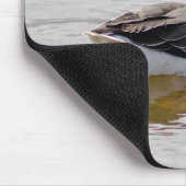 Tapis De Souris Oie de Greylag (Coin)