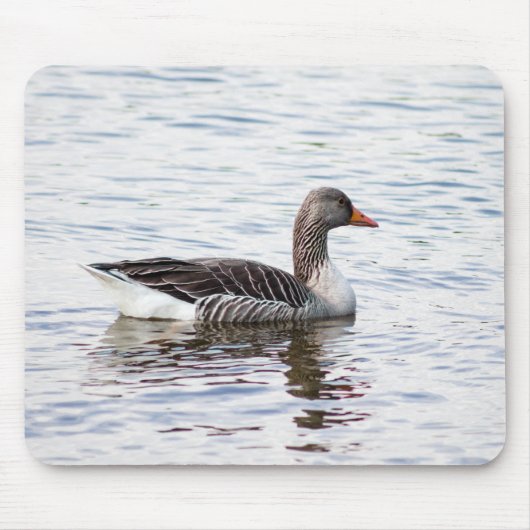 Tapis De Souris Oie de Greylag (Devant)