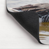 Tapis De Souris Oie de Greylag (Coin)