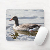 Tapis De Souris Oie de Greylag (Avec souris)