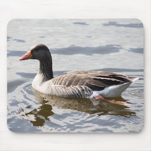 Tapis De Souris Oie de Greylag (Devant)