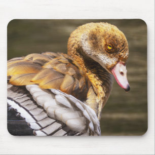 Tapis De Souris Oie d'Égypte Gros Plan Faune Oiseau Nature Art