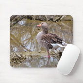 Tapis De Souris Oie grise dans l'eau (Avec souris)