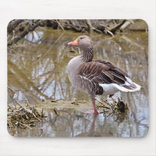 Tapis De Souris Oie grise dans l'eau (Devant)