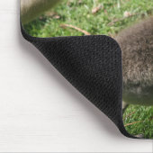 Tapis De Souris Oies dans l'herbe (Coin)