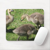 Tapis De Souris Oies dans l'herbe (Avec souris)