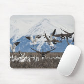 Tapis De Souris Oies éparses (Avec souris)