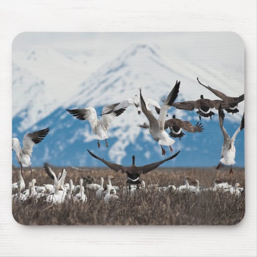 Tapis De Souris Oies éparses (Devant)