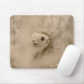 Tapis De Souris Oiseau (Avec souris)
